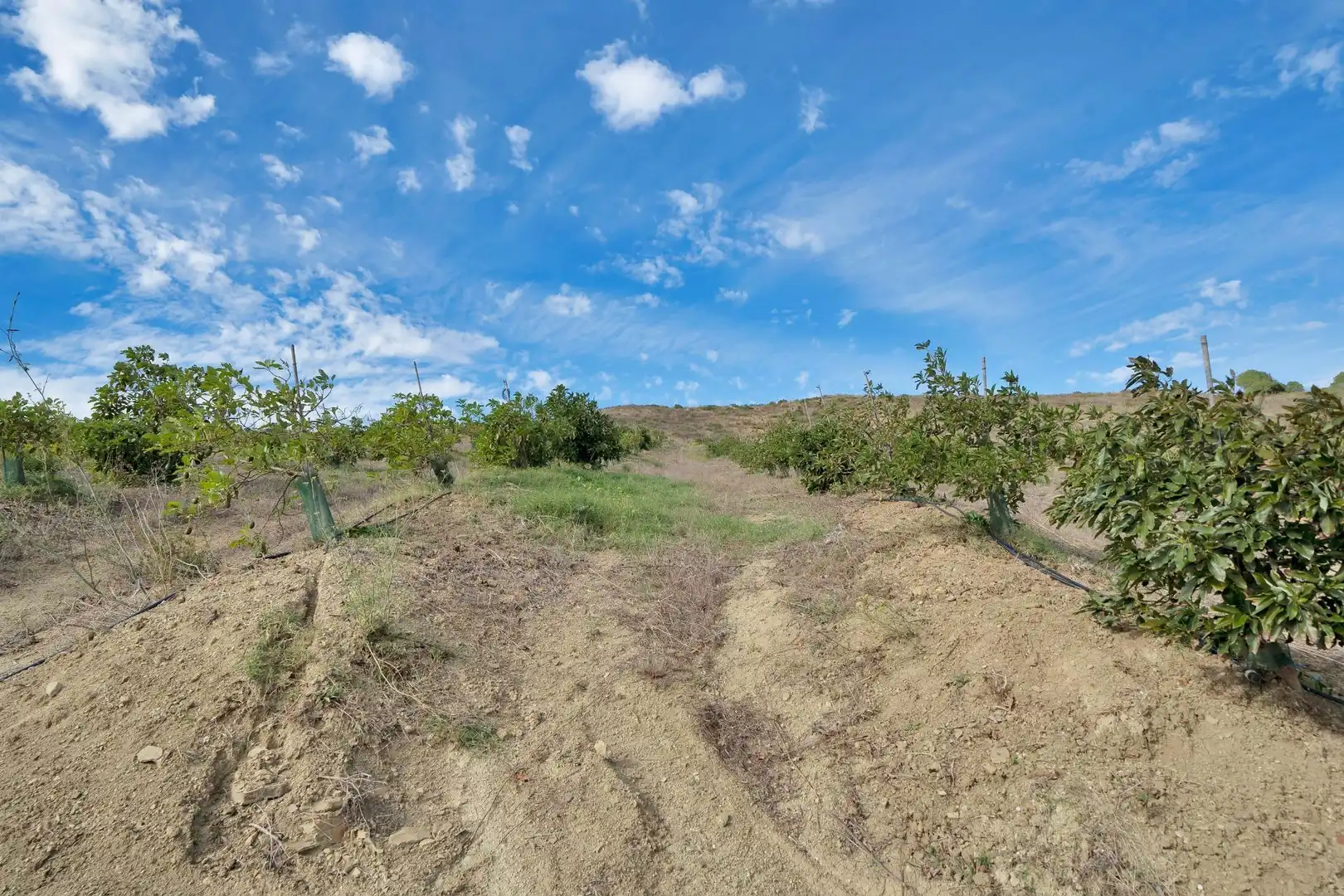Terreny residencial en venda a Manilva Pueblo, imagen 25