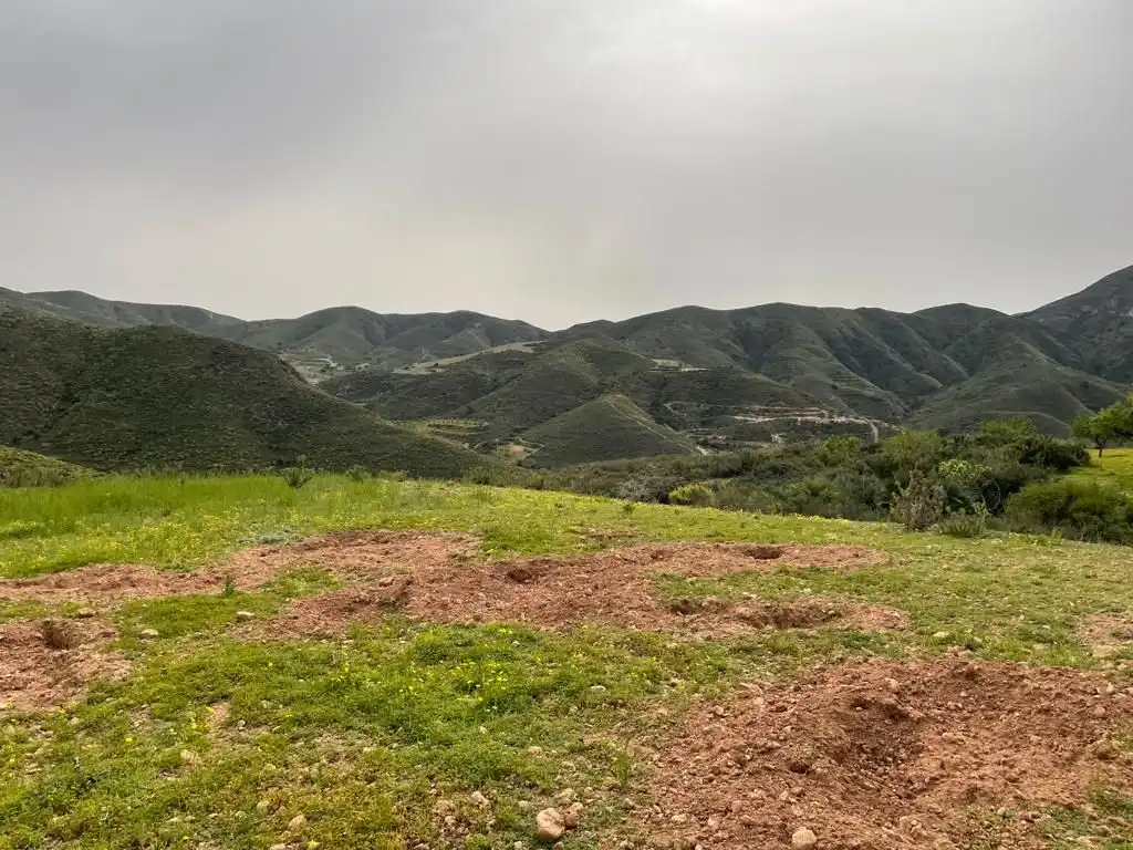 Country homes for sale in Cartagena
