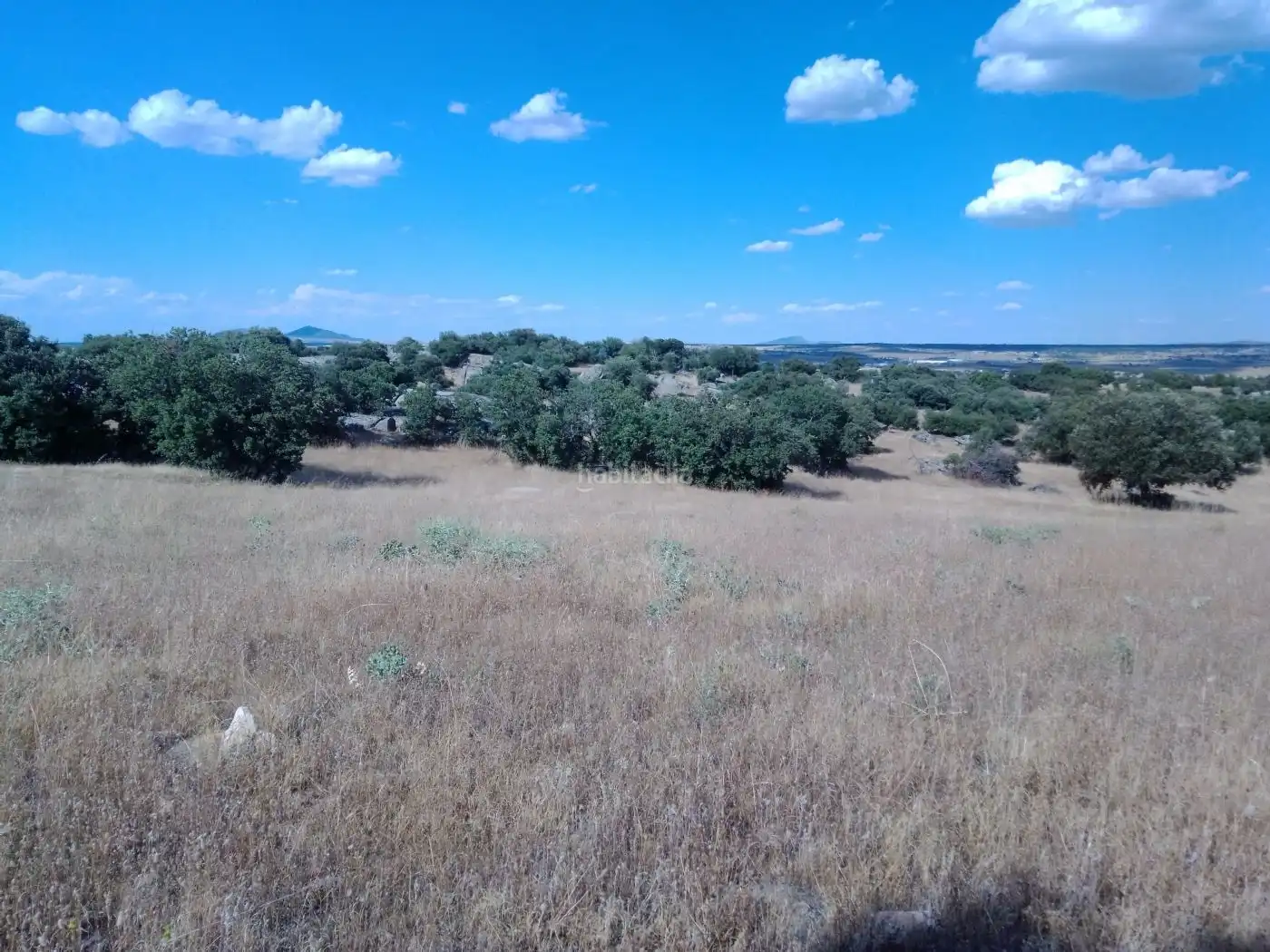 Terreno rustico in vendita a Calle Remiendos 1