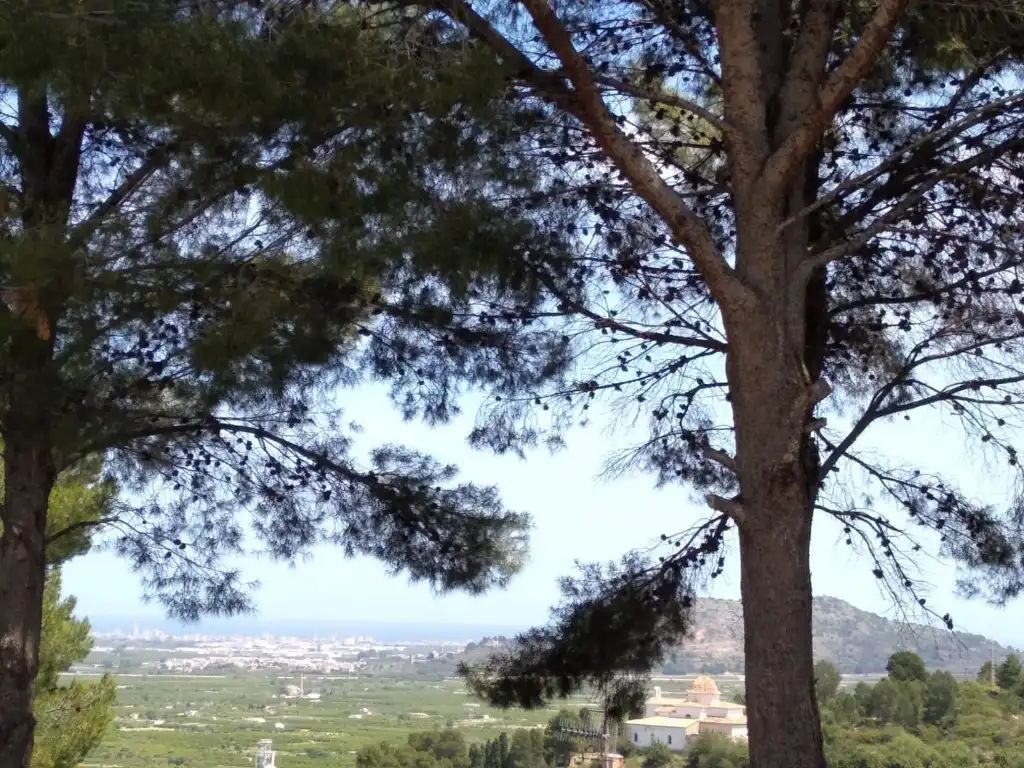 Vista exterior de Residencial en venta en Potries