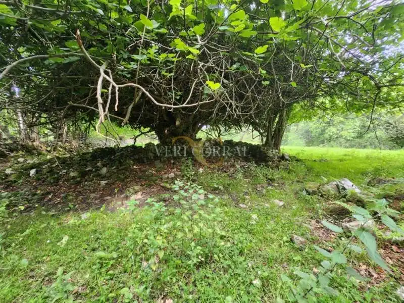 Wohnbaugrundstück zum Verkauf in Parres, imagen 16
