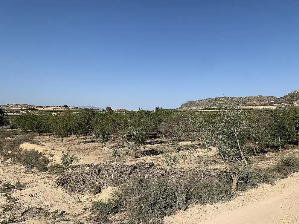 Terreno residencial en venta en Monforte del Cid, imagen 13