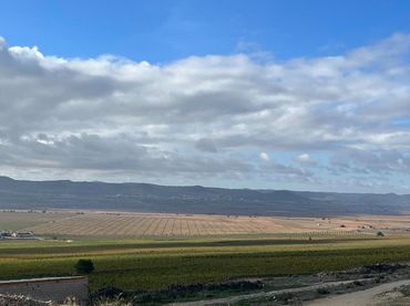 Terreno rustico in vendita a Casas de Juan Núñez