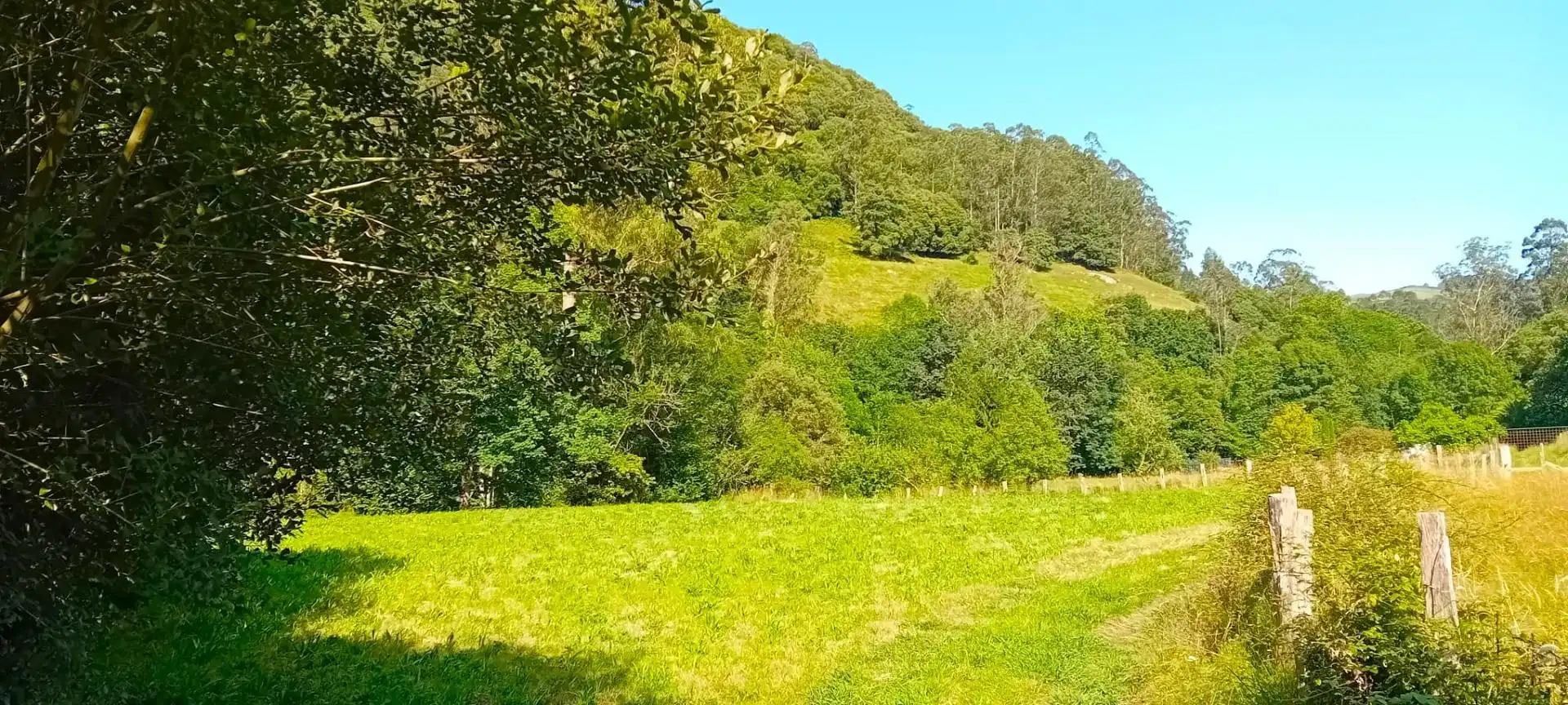 Terrenos y solares en venta en Guriezo, imagen 5