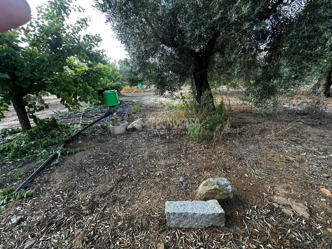 Land for sale in Guareña