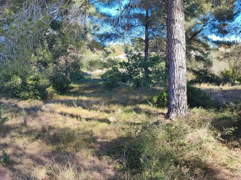Terreno residencial en venta en Calle Ceps Dels, imagen 11