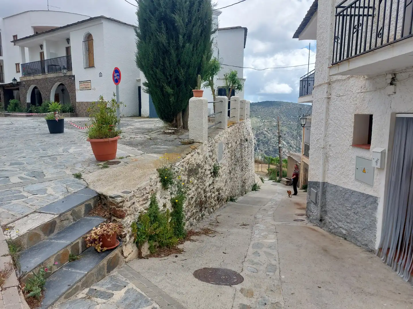Exterior view of Land for sale in Pórtugos