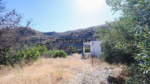 SE VENDE PARCELA RUSTICA  CORTIJO EN LA ZONA DE LOS PEREZ