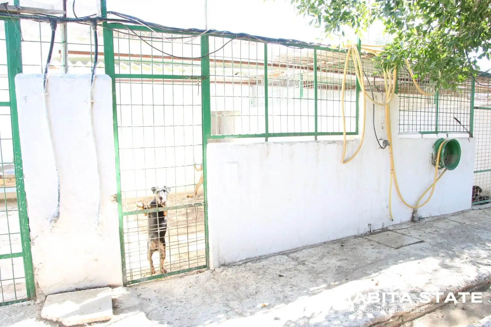 Exterior view of Residential for sale in Pechina