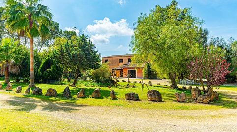 Finca rústica con carácter en solar de 22.000m2 aprox. con piscina