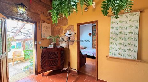 Foto 5 de Finca rústica en venta en Vilaflor de Chasna, Santa Cruz de Tenerife