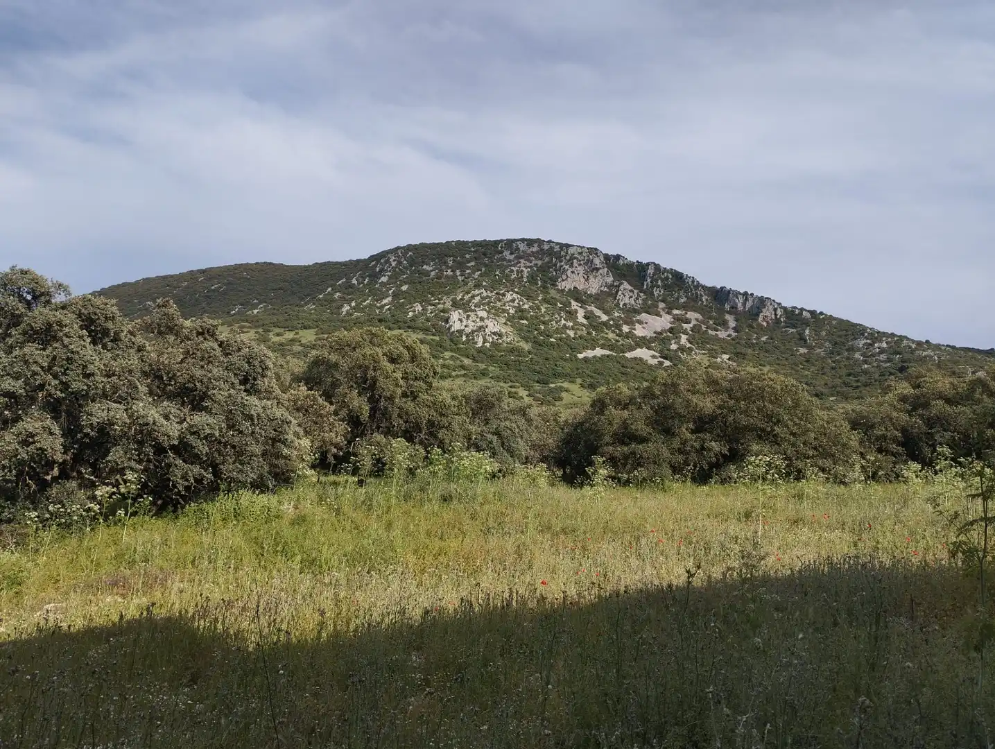 Terreno rustico in vendita a Calle Doña Mencía, imagen 7