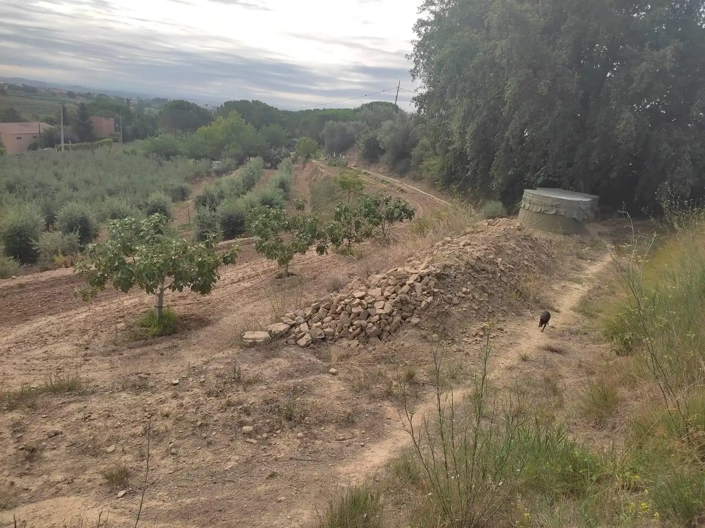 Terreno rustico in vendita a Partides de Lleida, imagen 8