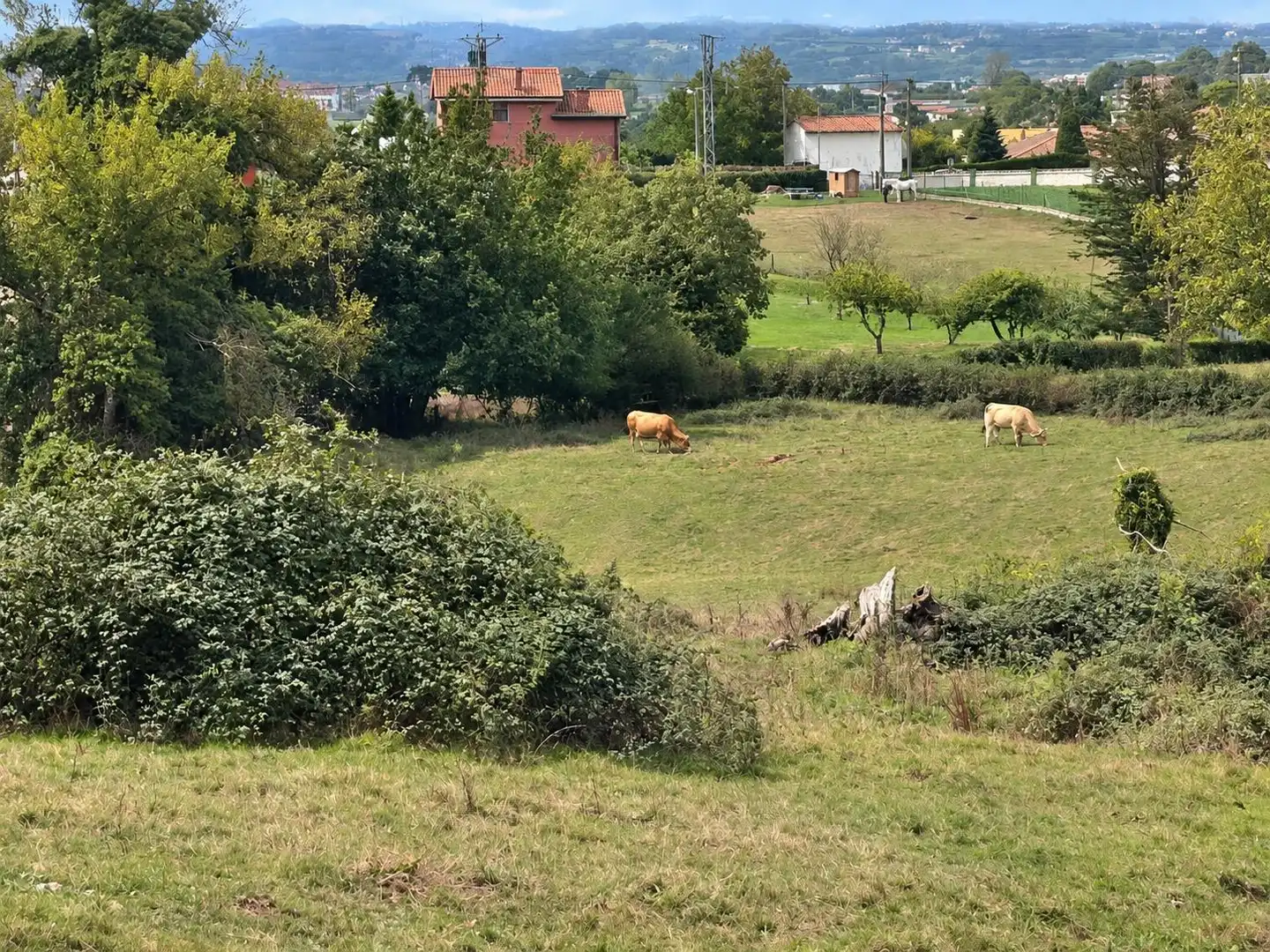 Wohnbaugrundstück zum Verkauf in La Pola de Siero 58, imagen 7