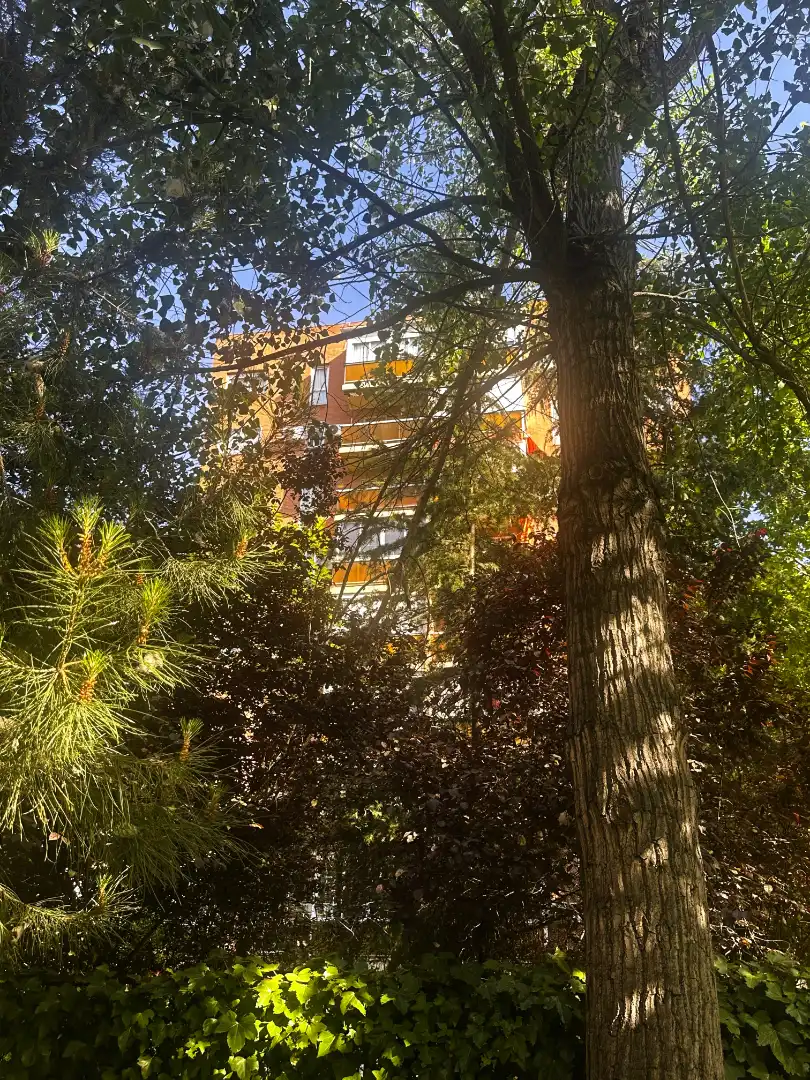 Vista exterior de Piso en venta en Madrid con Aire acondicionado, Calefacción y Terraza