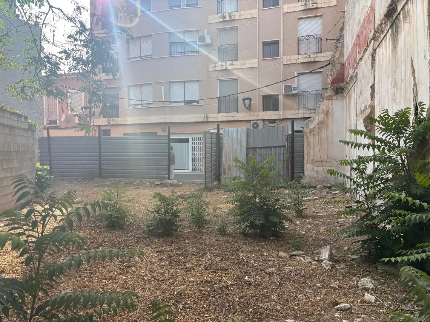 Terreny rústic en venda a Aspe Centro
