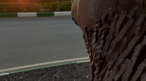 Foto 4 de Terreno en venta en Calle Isaac Peral, Picanya, Valencia