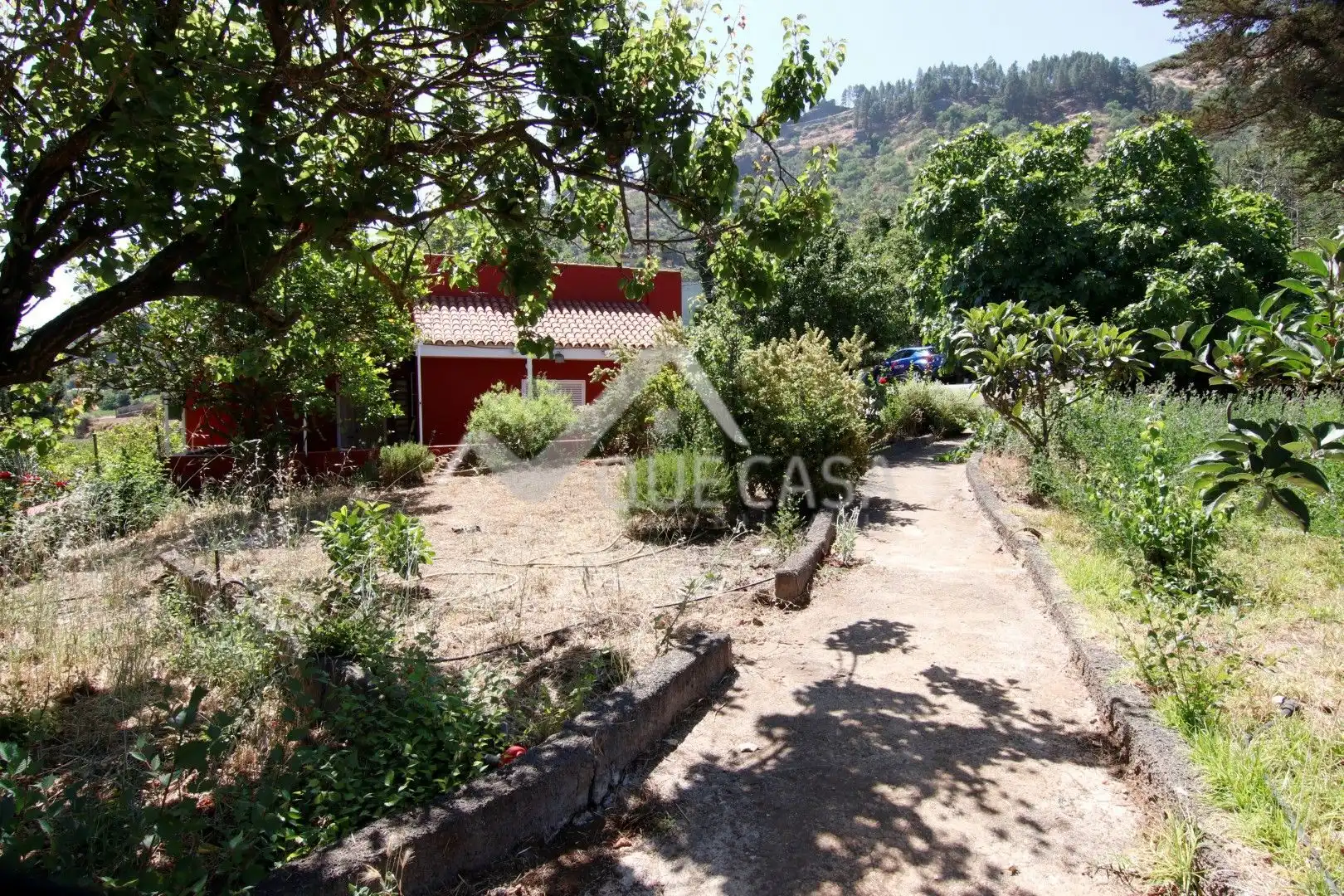 Terreno en venta en Vega de San Mateo