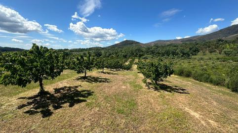 Photo 2 of Country house for sale in Torrecilla de los Ángeles, Cáceres