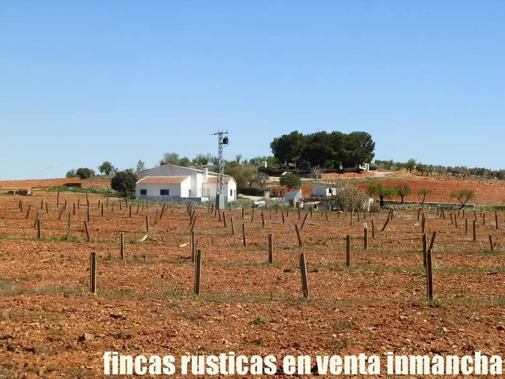 Rural land for sale in Valdepeñas, imagen 25