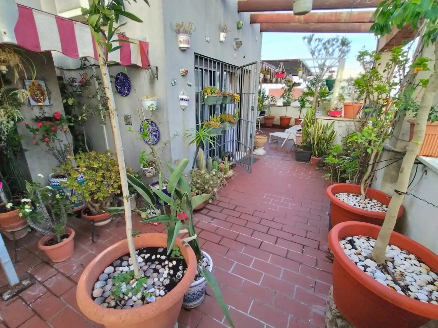 Terrace of Attic for sale in Puerto Real  with Terrace, Storage room and Alarm