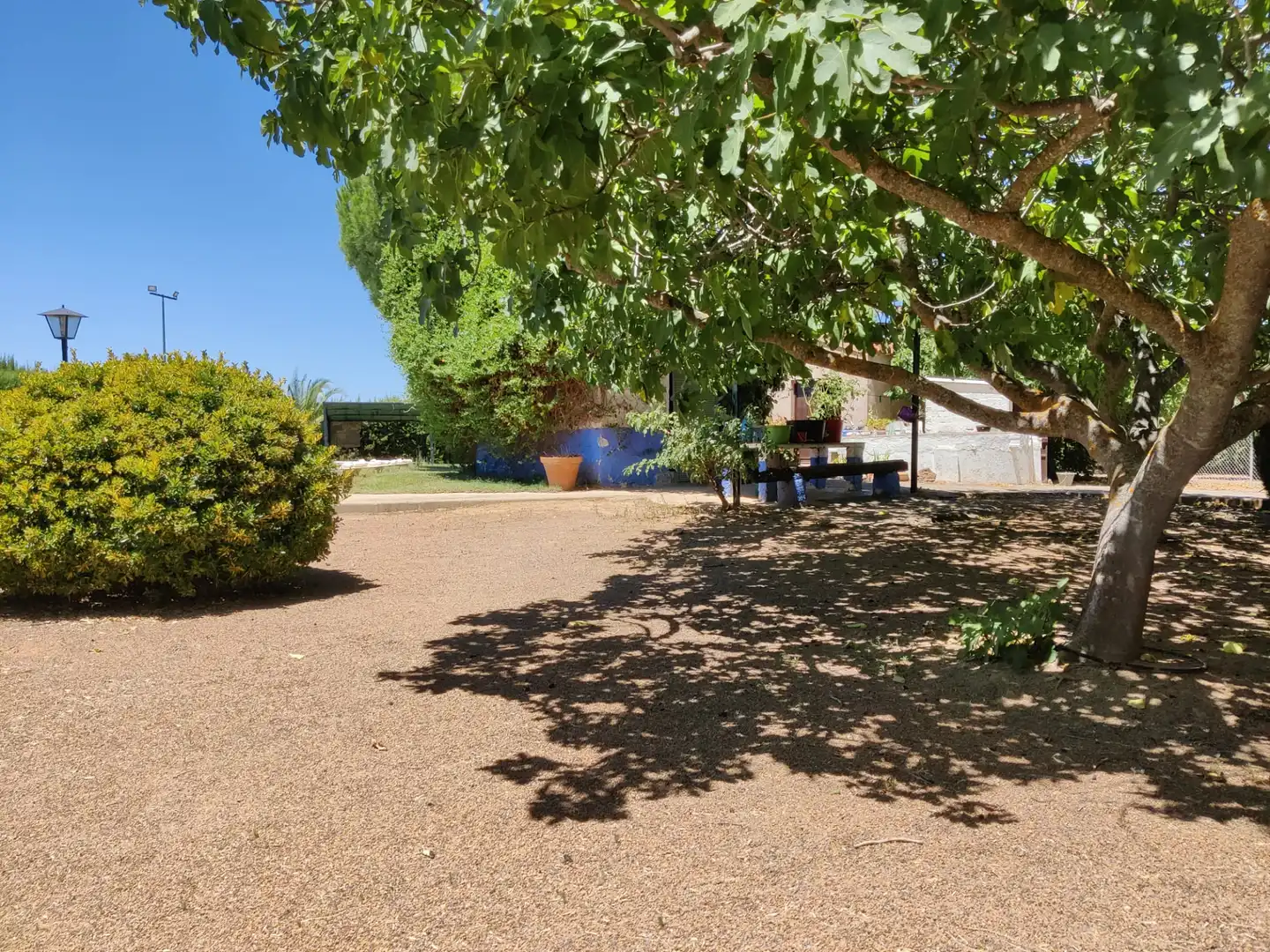 Chalet con piscina en venta en Fernán Caballero, imagen 5