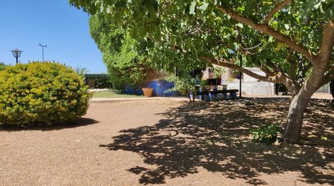 Venta de Espectacular Chalet Independiente con Parcela de 6.000 m², imagen 5