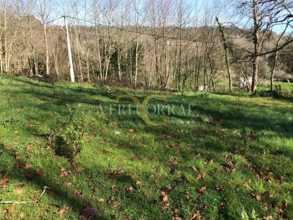 Terreno rustico in vendita a San Roque del Acebal
