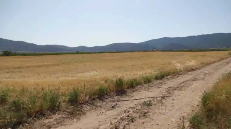 Terreni e lotti in vendita a Paraje Charquillos - El Carche, imagen 6