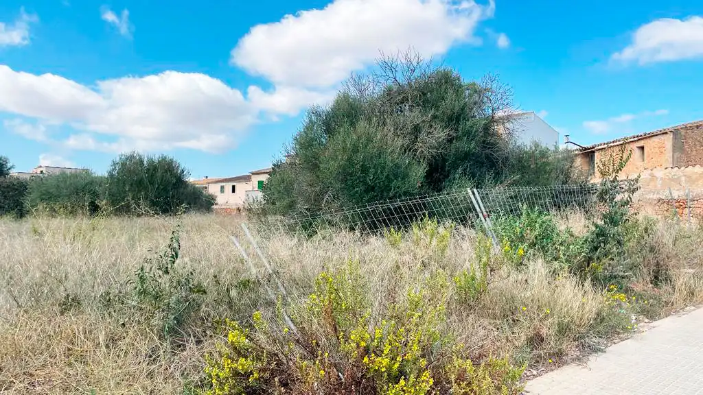 Terreno rustico in vendita a Campos poble, imagen 3