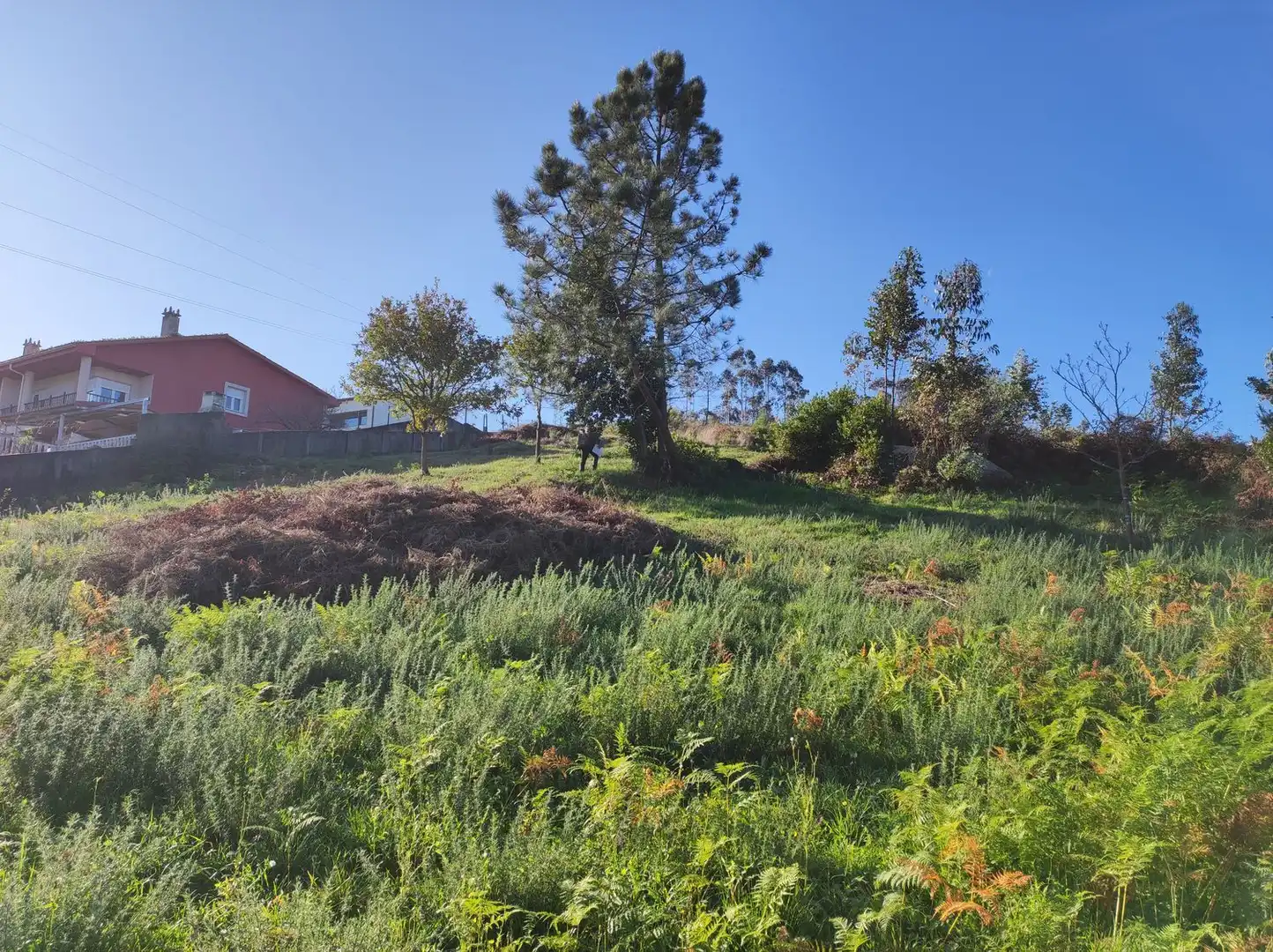 Rural land for sale in Calle Ponte, imagen 23