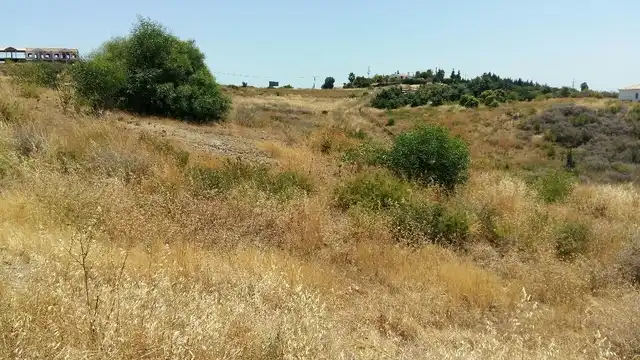Terreni e lotti in vendita a Selwo, imagen 6