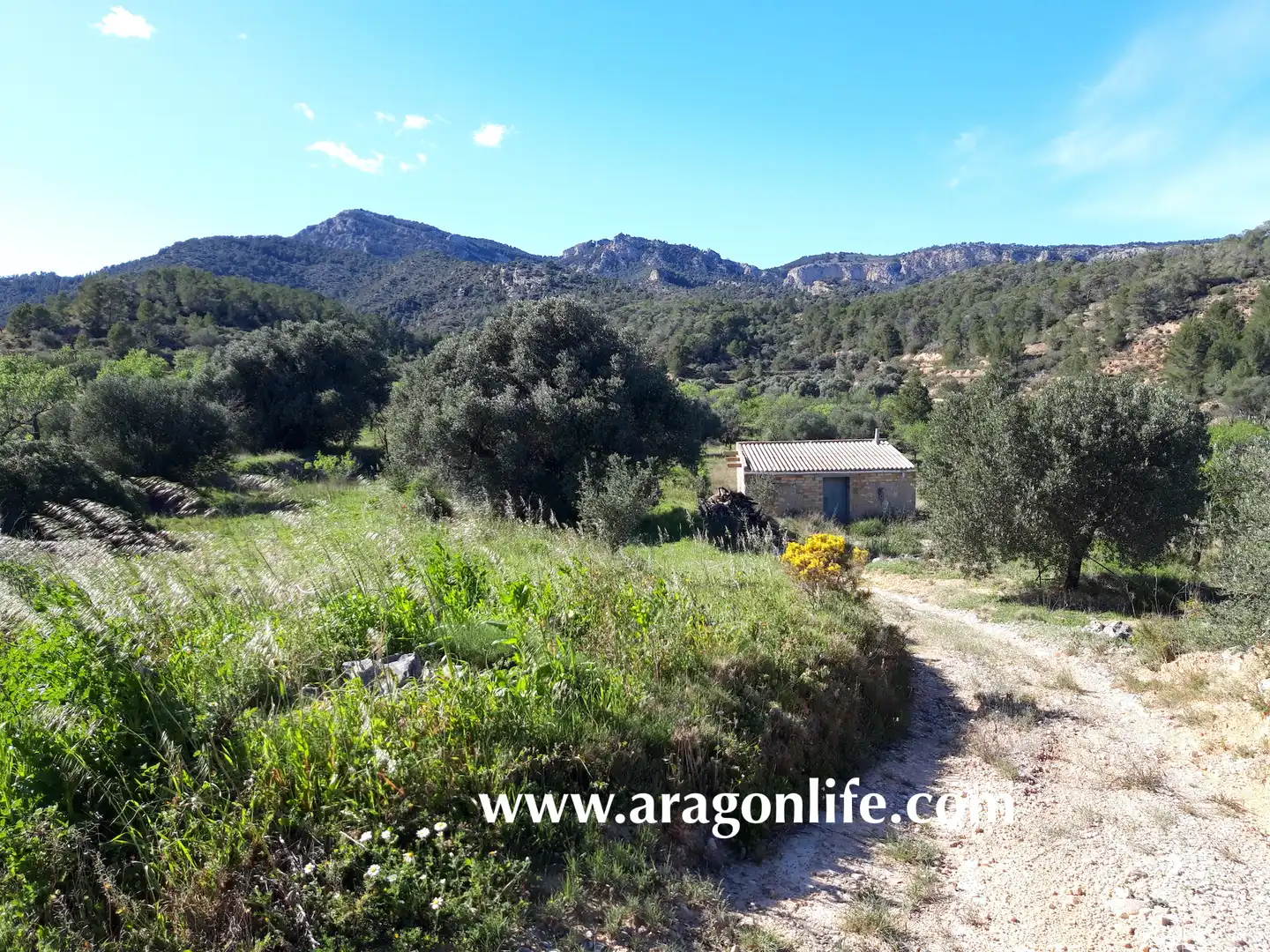Country homes for sale in El Pinell de Brai