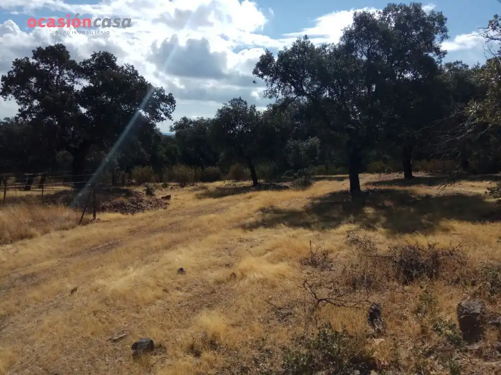 Finca rústica en venta en Villanueva del Duque