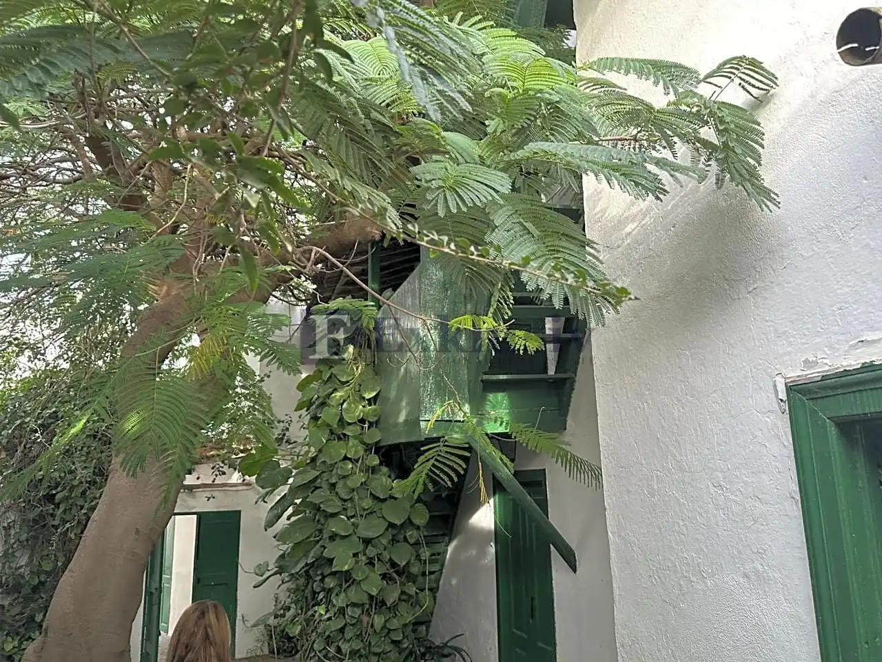 Vista exterior de Finca rústica en venta en Arico