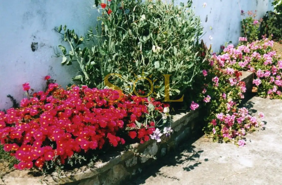 Jardí de Casa o xalet en venda en Pravia amb Calefacció i Jardí privat