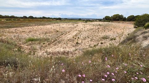 Foto 4 de Residencial en venta en Valverde, Elche / Elx