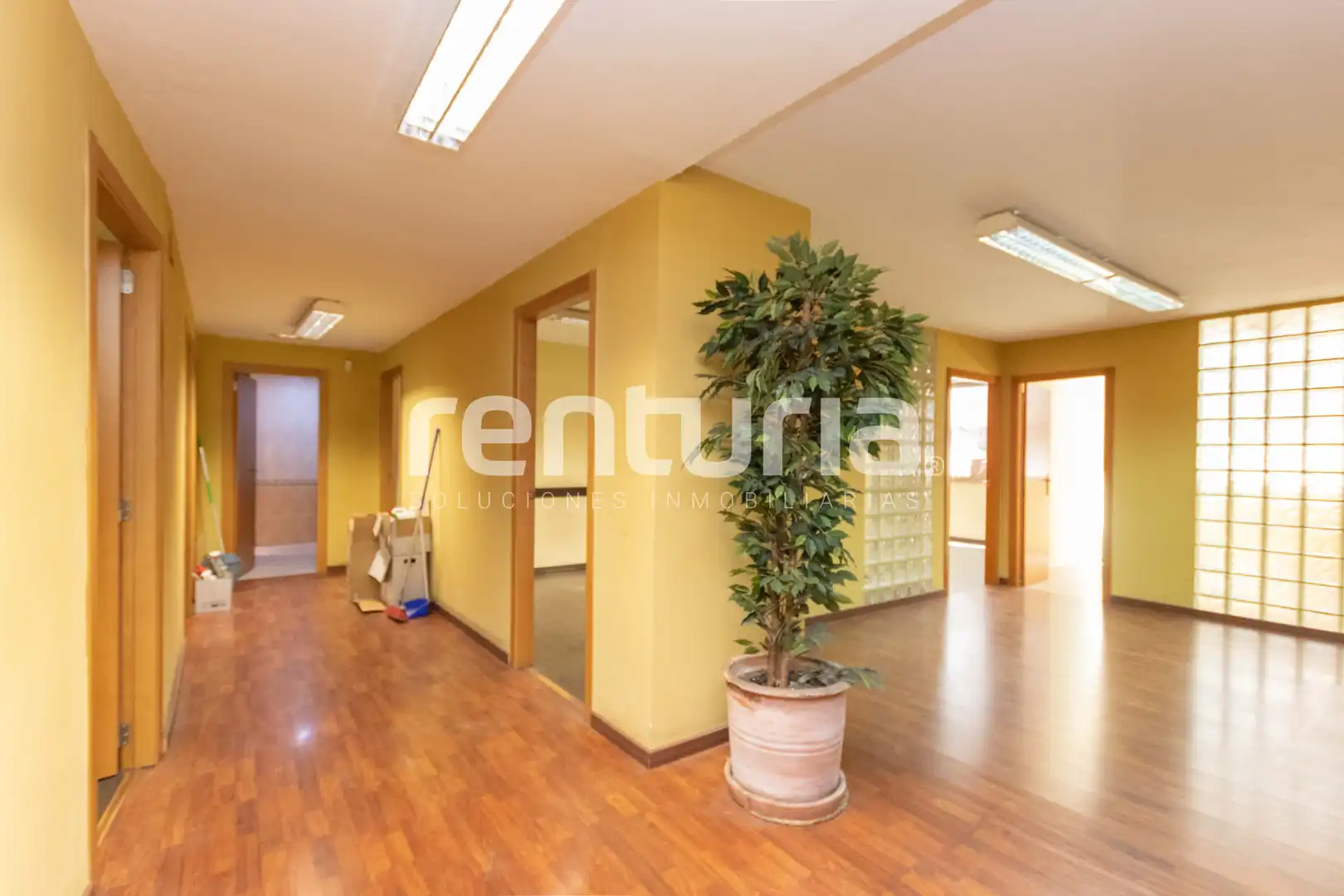 Büro mit Terrasse zur Miete in Carrer de les Garrigues, imagen 2
