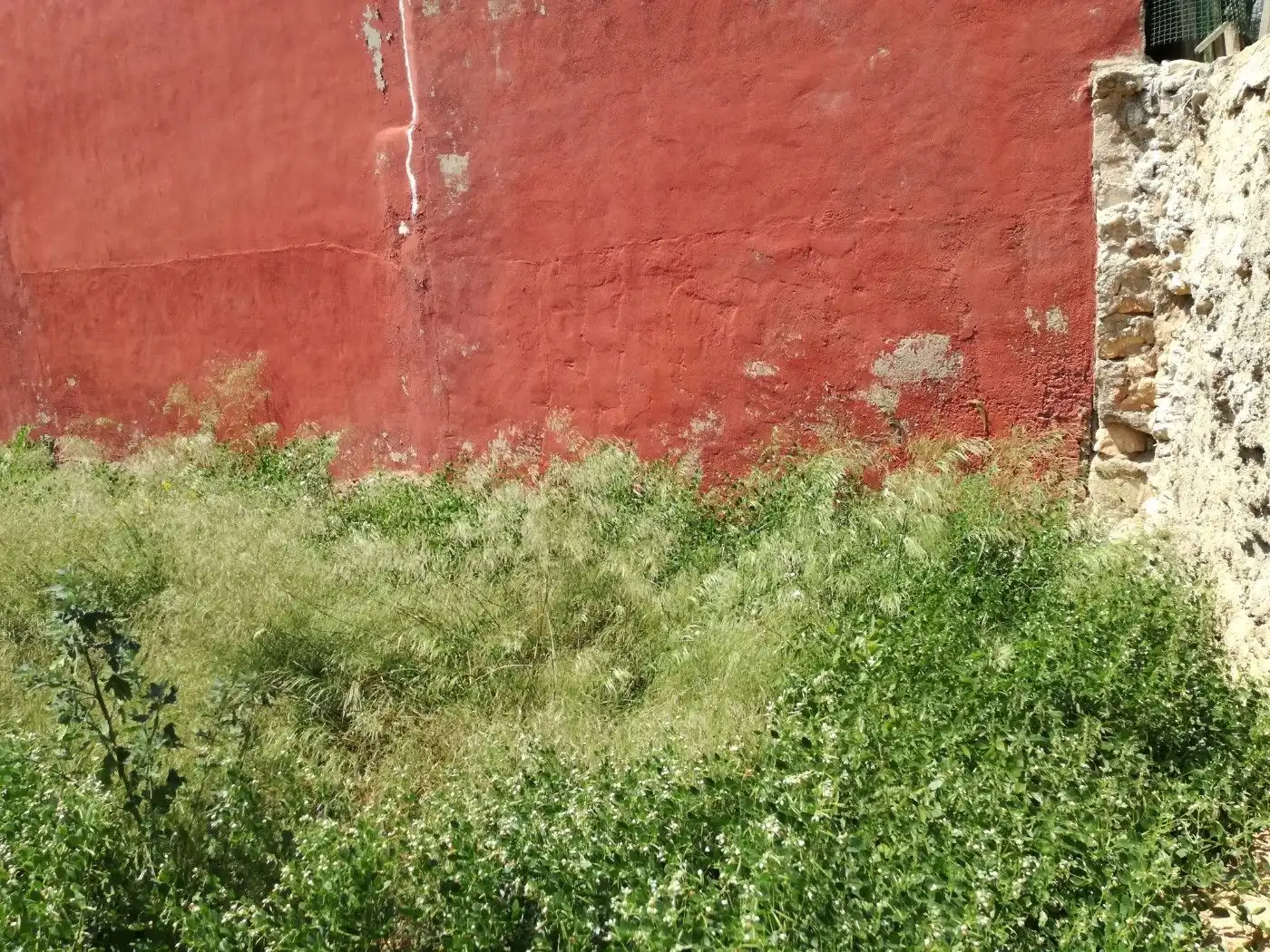 Garden of Residential for sale in Cartagena