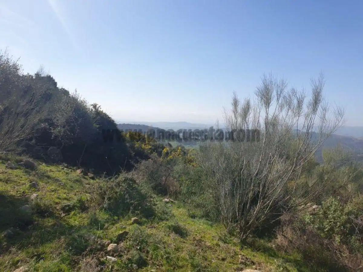 Residencial en venda a Casares, Málaga