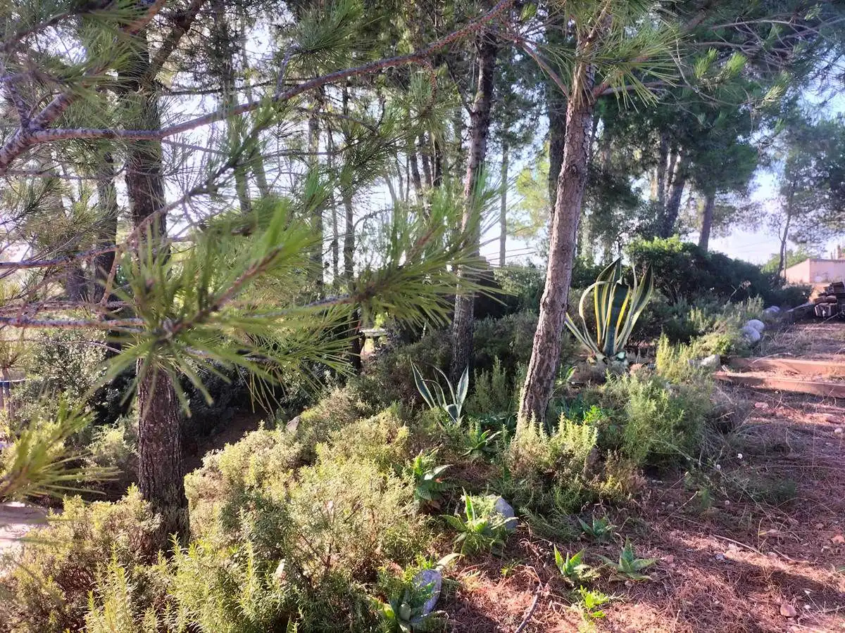 Terrenos y solares en venta en Castellbisbal, imagen 7