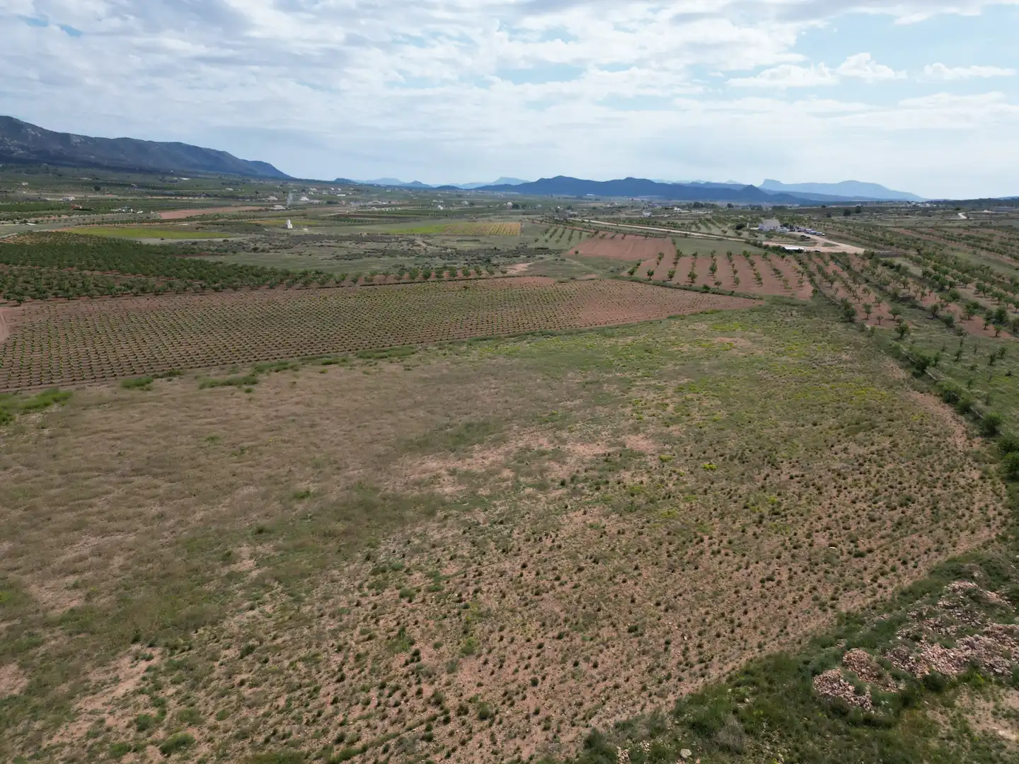 Wohnbaugrundstück zum Verkauf in El Pinós / Pinoso, imagen 2