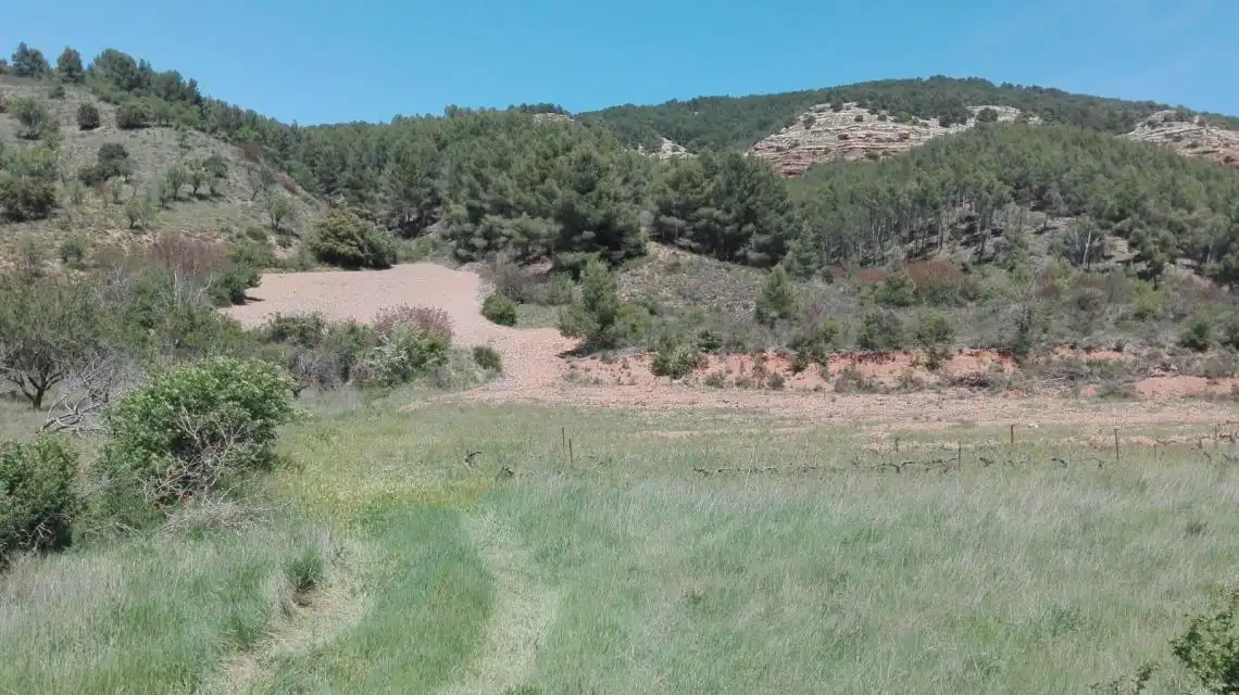 Land for sale in Báguena