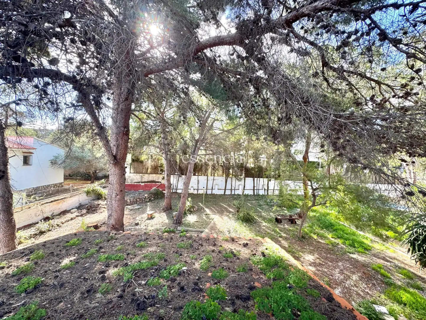 Villa avec piscine à vendre à Las Rotas / Les Rotes, imagen 38