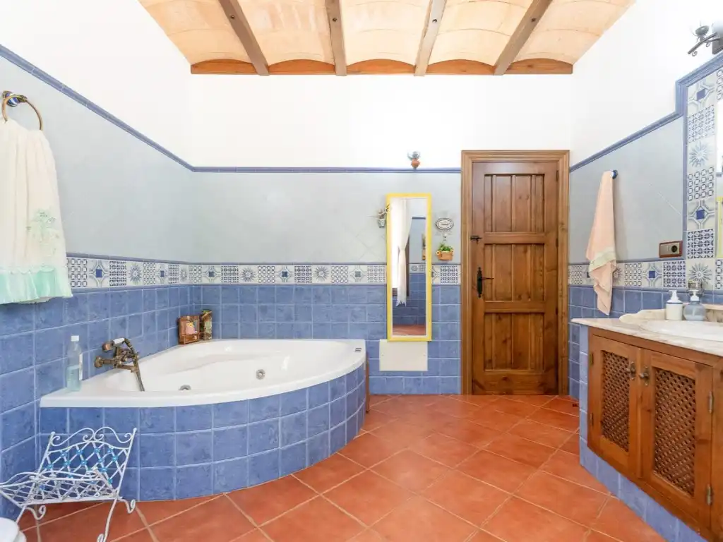 Bany de Finca rústica en venda en Villanueva del Trabuco amb Aire condicionat, Jardí privat i Terrassa