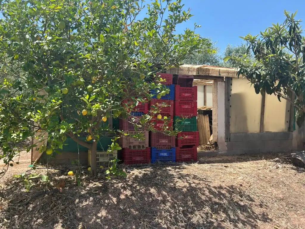 Finca rústica en venta en Sot de Ferrer