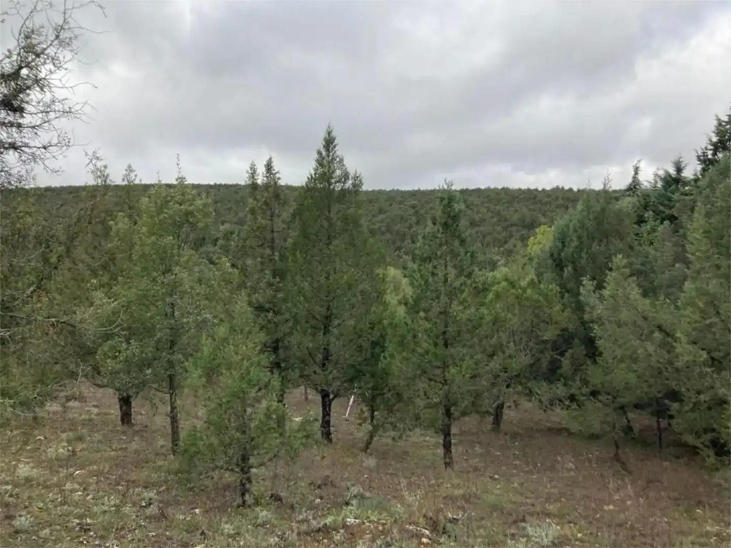 Terreno en venta en Duruelo