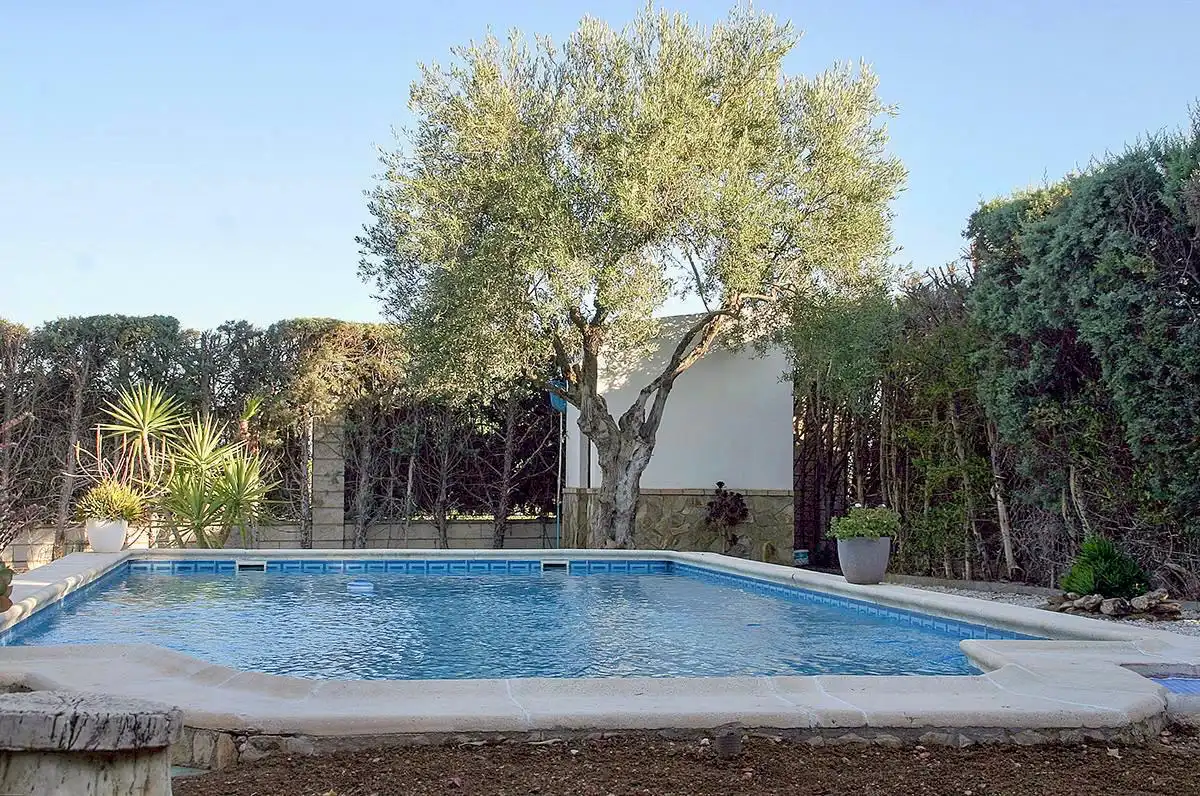 Xalet amb piscina en venda a Almendralejo