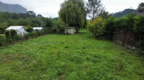 PARCELA DE 2.034 M2 EN CAMANGU RIBADESELLA, immagine 3