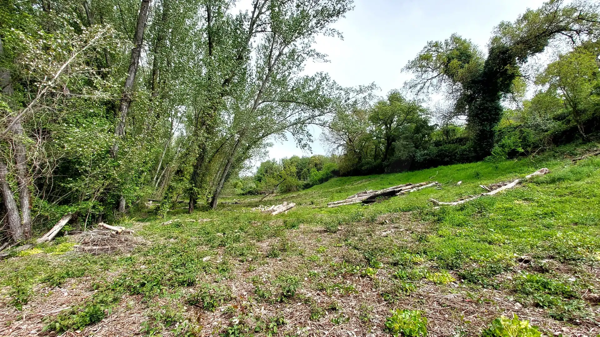 Terrain rustique à vendre à Galaroza, imagen 14